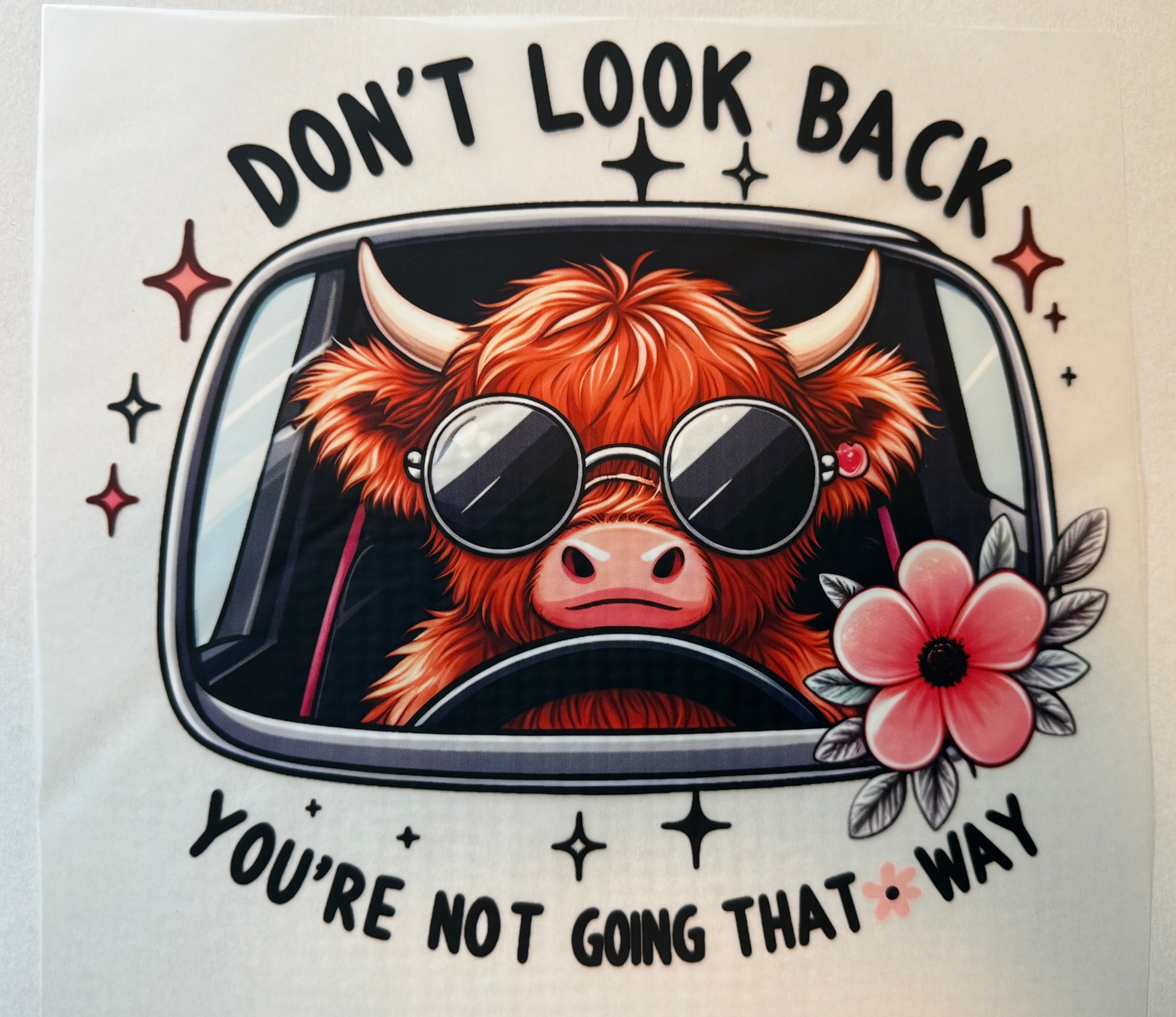 Don’t Look Back Cow Transfer