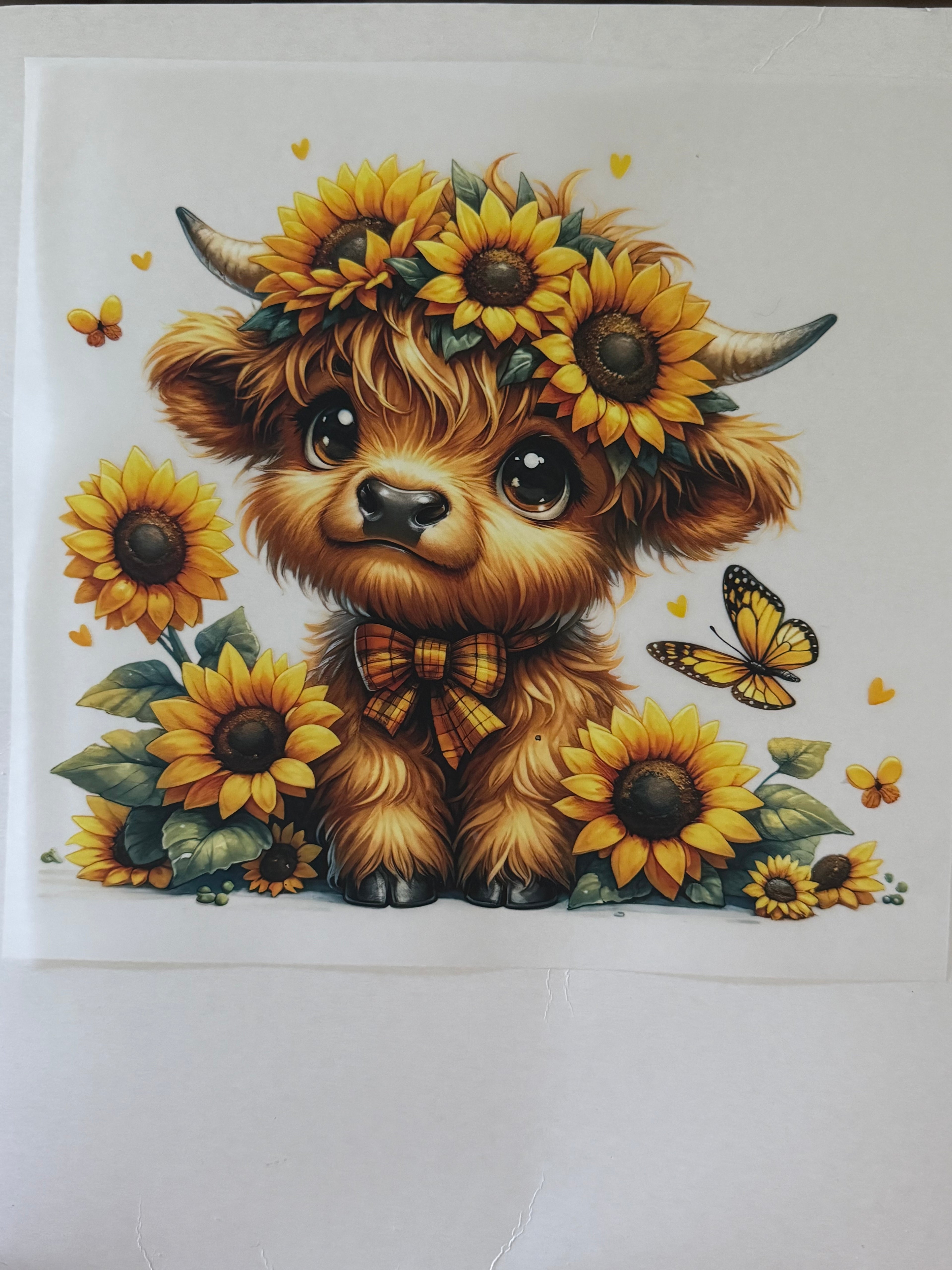 Sunflower Cow Heat Transfer