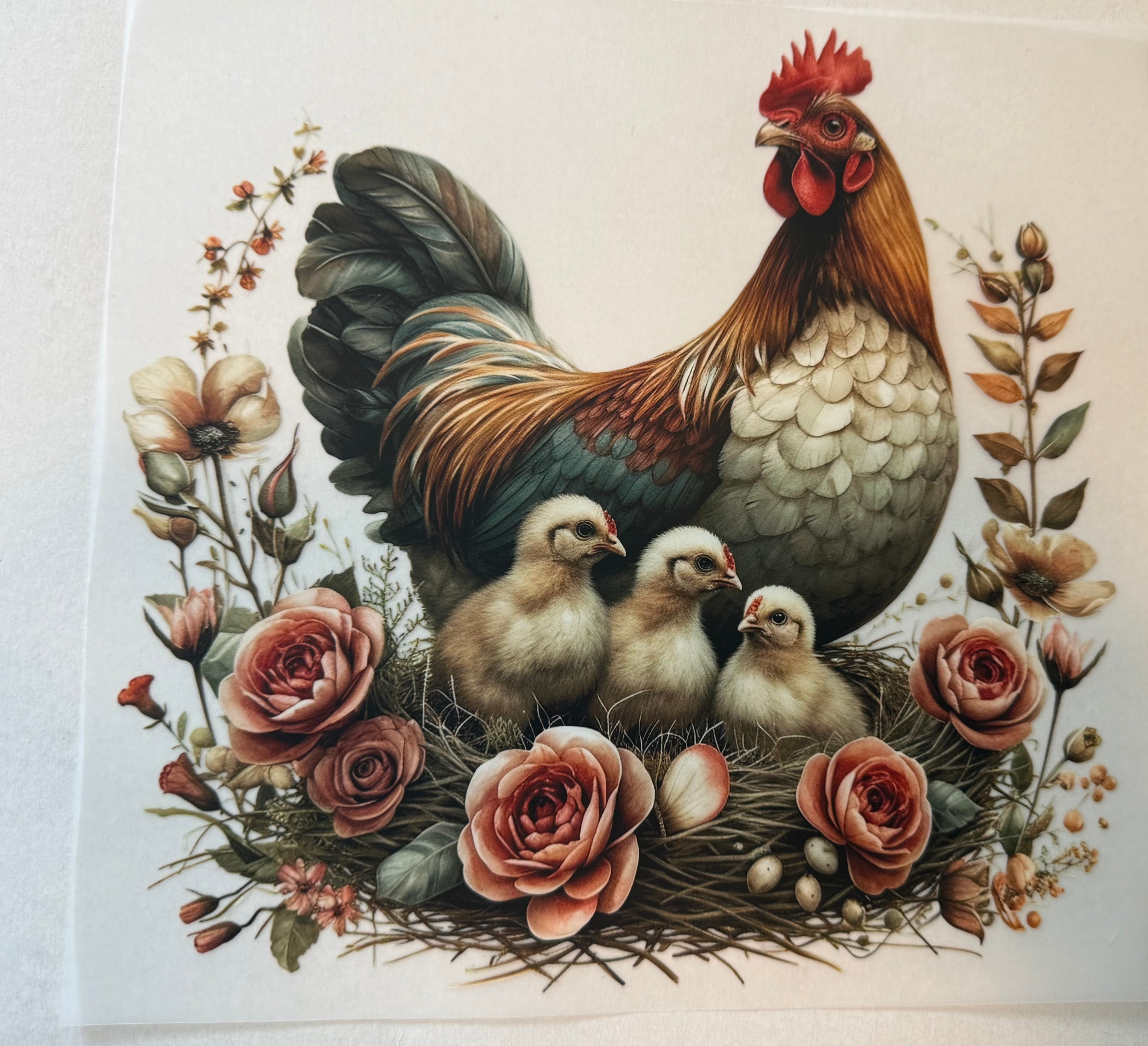 Chicken Transfer