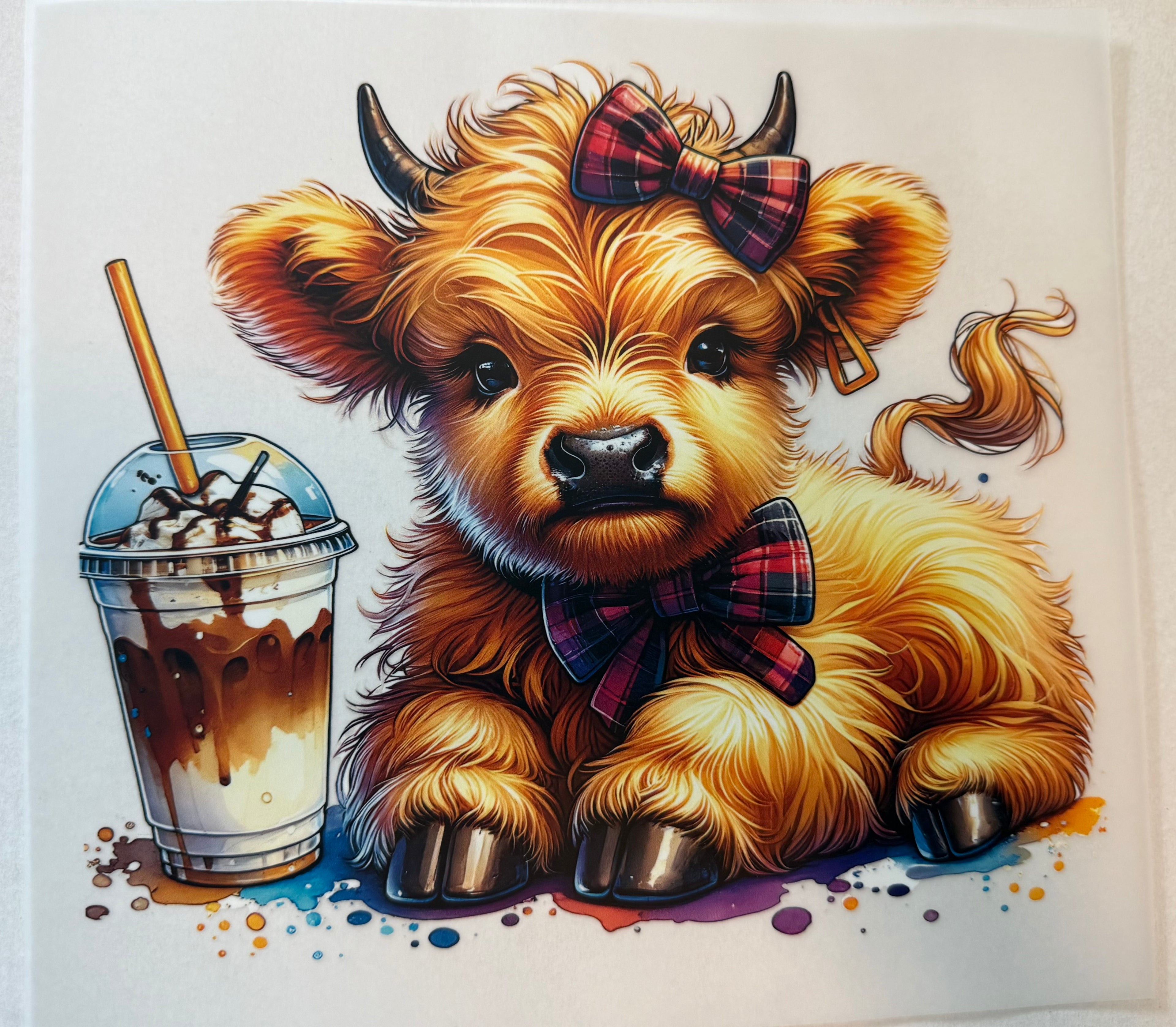 Cow with Coffee Transfer